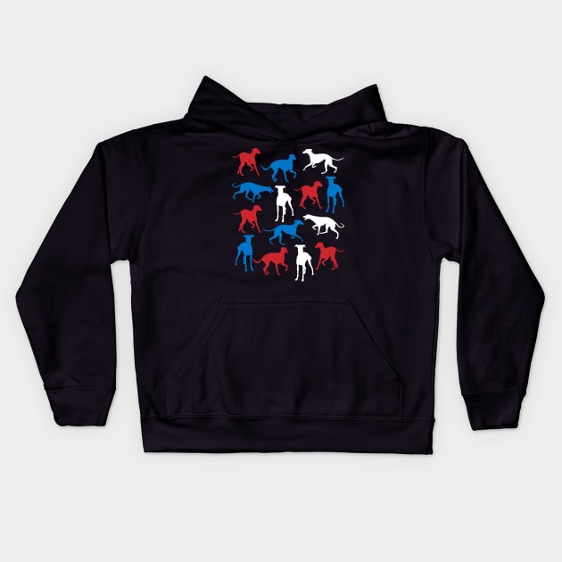 Patriotic Greyhound Dog America Flag 4Th Of July Kids Hoodie by klausgaiser